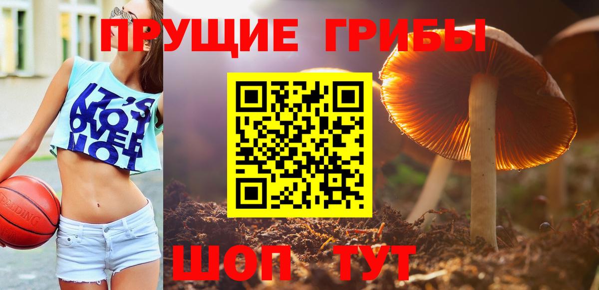 Галлюциногенные грибы Psilocybine cubensis  Вход с VPN  Феодосия 