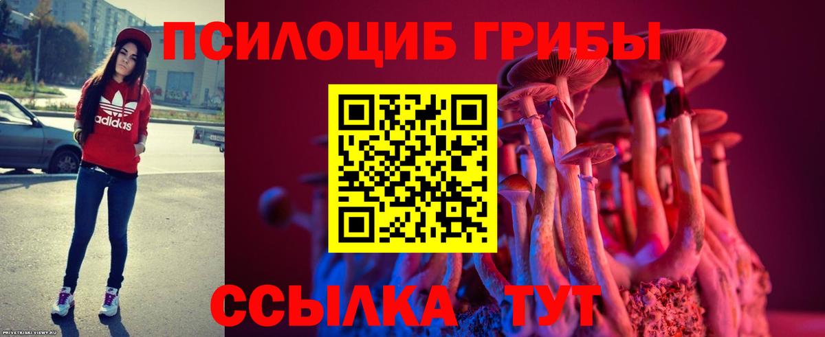 Псилоцибиновые грибы MAGIC MUSHROOMS Феодосия